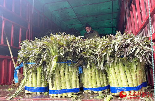 新春走基層 24小時不打烊，守護萬家煙火氣——走訪華東最大農副產品集散地