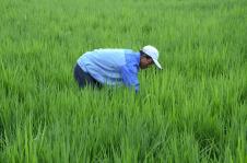 塞上江南，物阜民豐——探秘寧夏特色農副產品產業