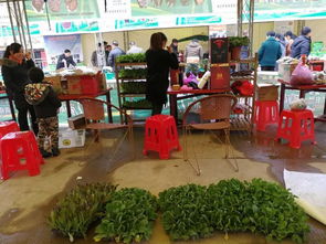 兩祁農副特產展銷會今日開幕，五十余家企業攜名優土特產齊聚一堂