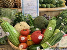 上林扶貧農副產品展銷中心在南寧揭牌 架起產銷橋梁，助力鄉村振興